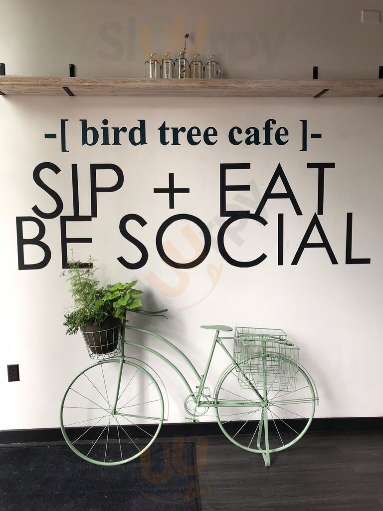 Bird Tree Cafe