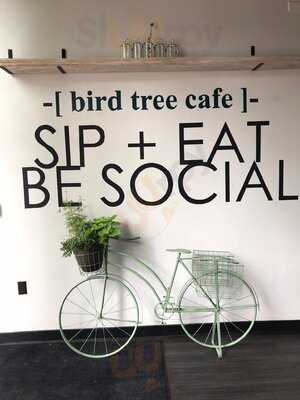 Bird Tree Cafe