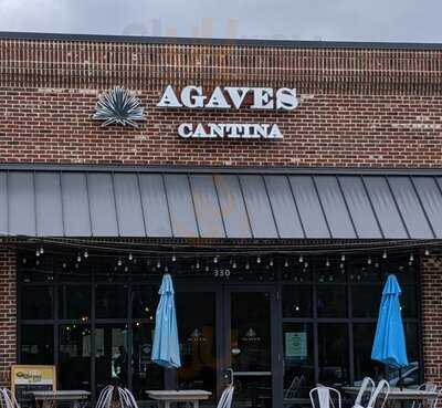 Agave Cantina