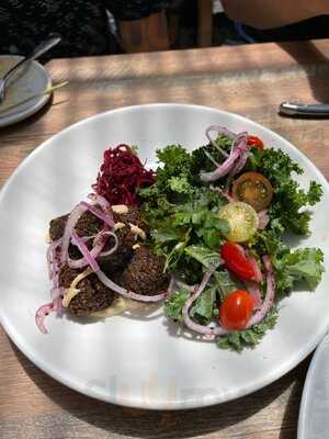 Delbar Middle Eastern