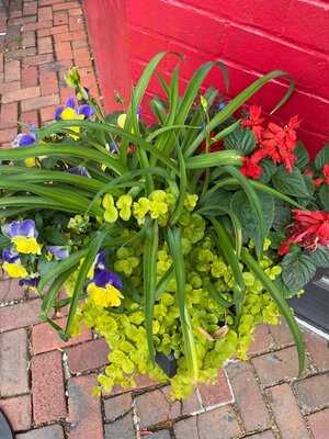 The Rub Chicken & Beer