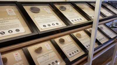 King's Gambit Coffee Co.