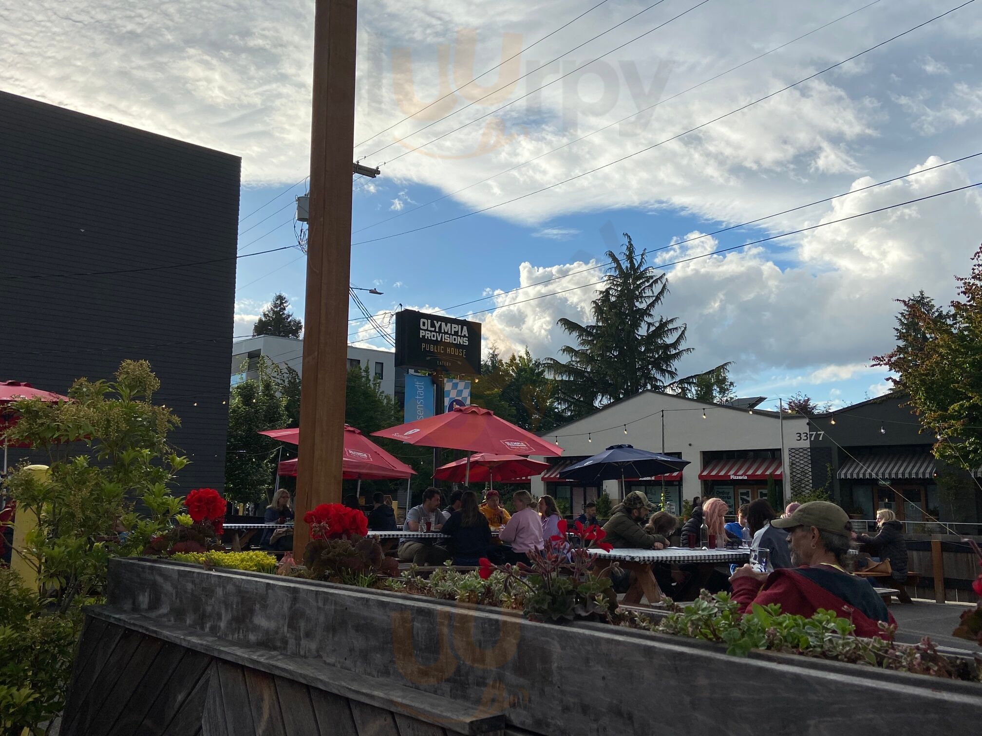 Olympia Provisions Public House