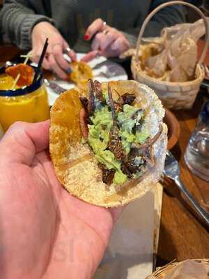 Cuishe Cocina Mexicana