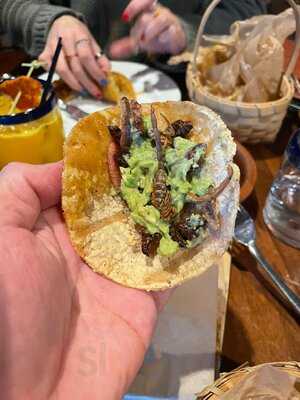 Cuishe Cocina Mexicana