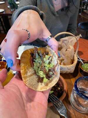 Cuishe Cocina Mexicana