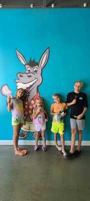 The Fat Donkey Ice Cream & Fine Desserts