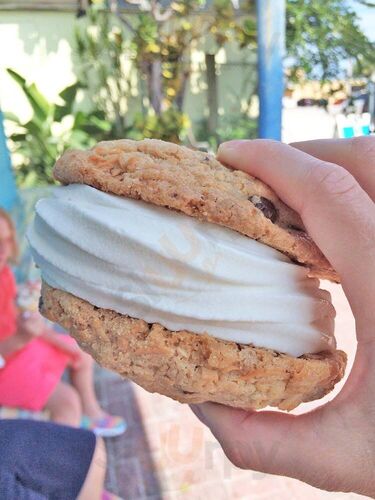 The Fat Donkey Ice Cream & Fine Desserts