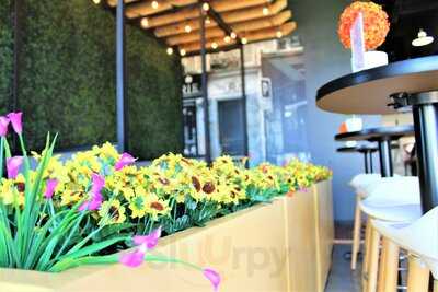 Taste Of Paris French Creperie & Cafe