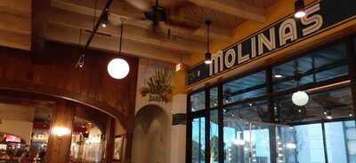 Molina's Cantina