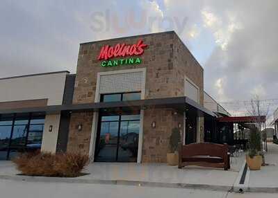 Molina's Cantina