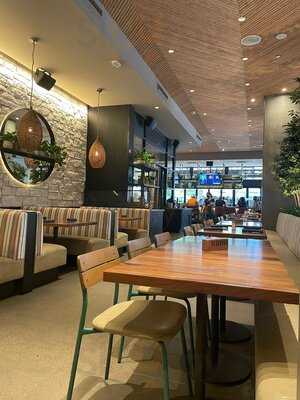 Blanco Cocina + Cantina