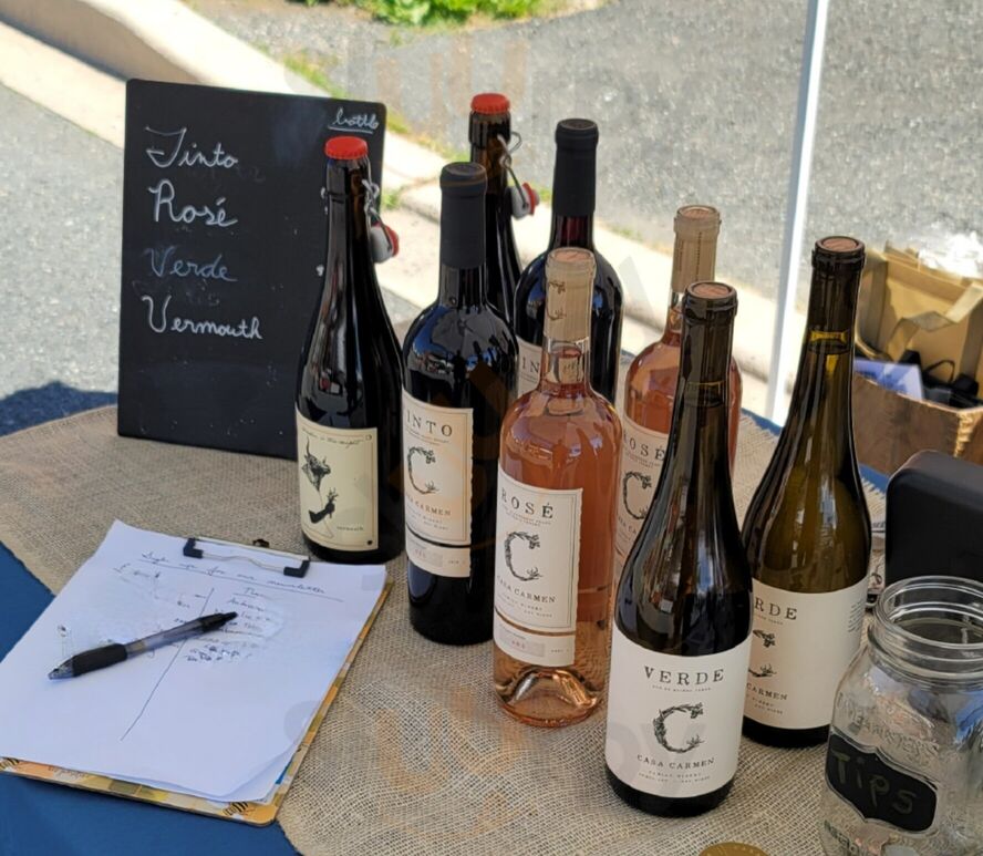 Casa Carmen Wines