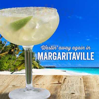 Landshark Bar & Grill - San Antonio