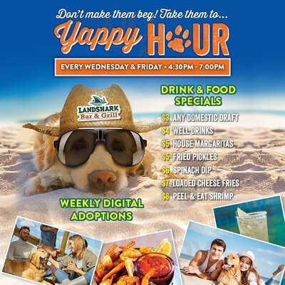 Landshark Bar & Grill - San Antonio