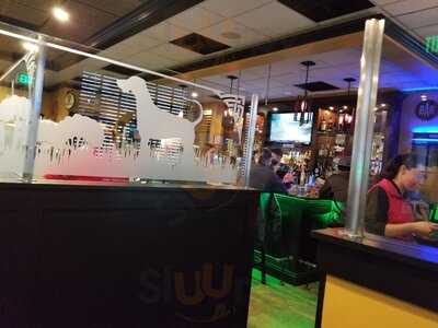 The Hare And The Hound