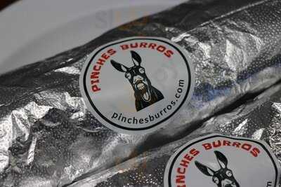Pinches Burros