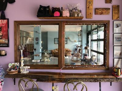 Pawsitivitea Cny Cafe & Cat Lounge