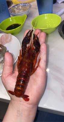 U & Me Revolving Hot Pot