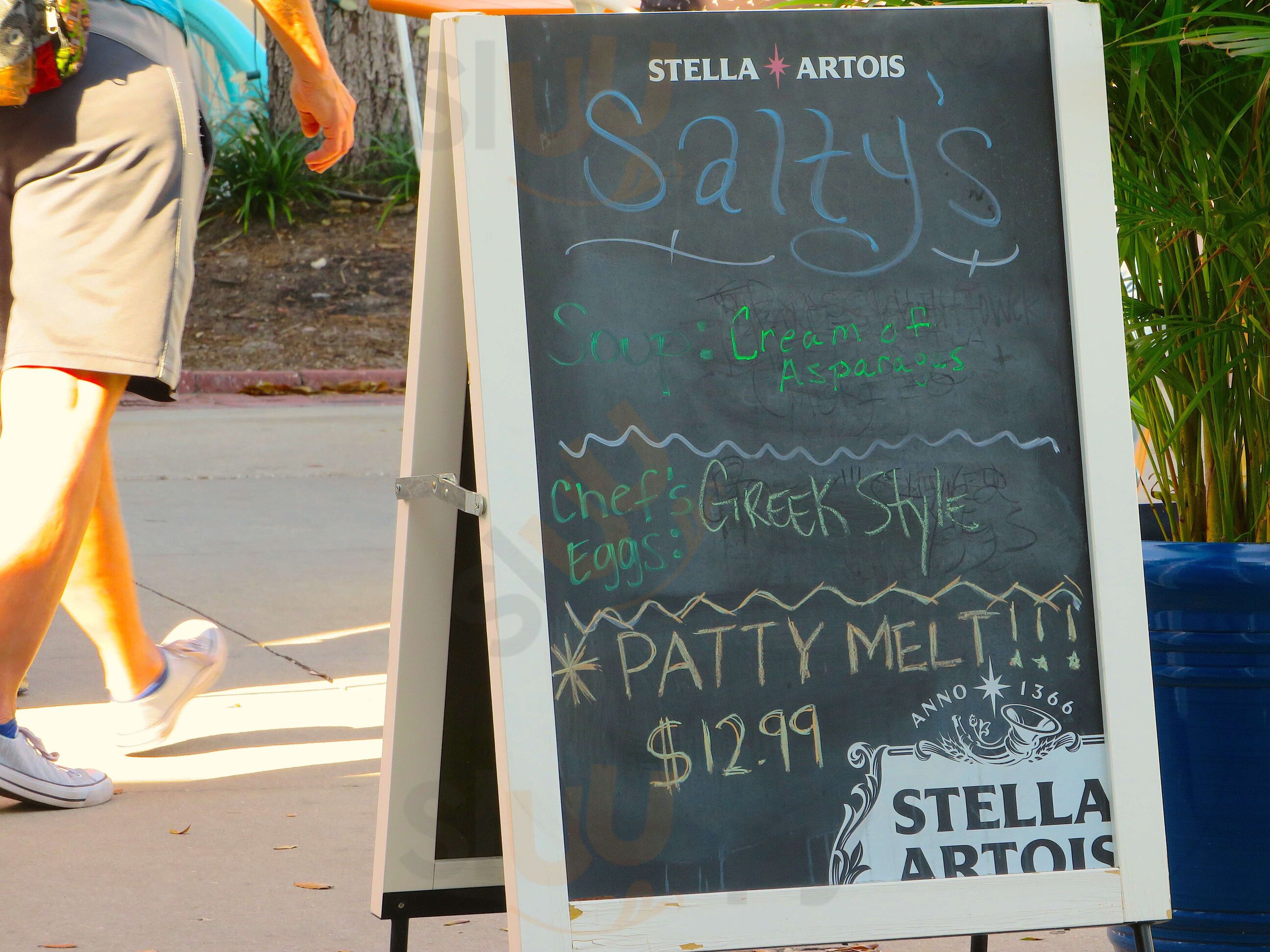 Salty's Sandwich Bar