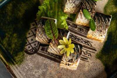 Hinata Japanese Fine Dining