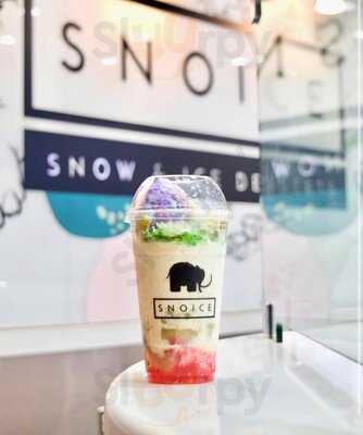 Snoice