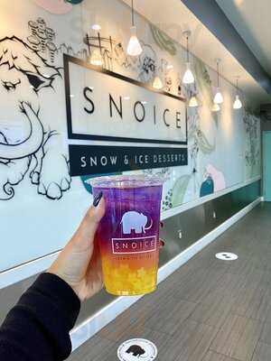 Snoice
