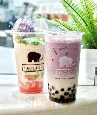 Snoice