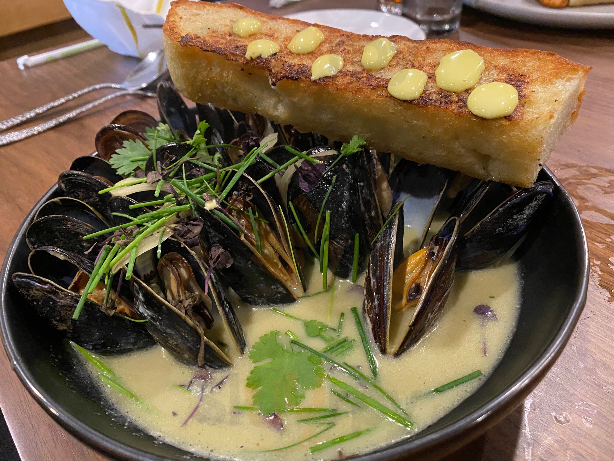 Aster Midland Michigan