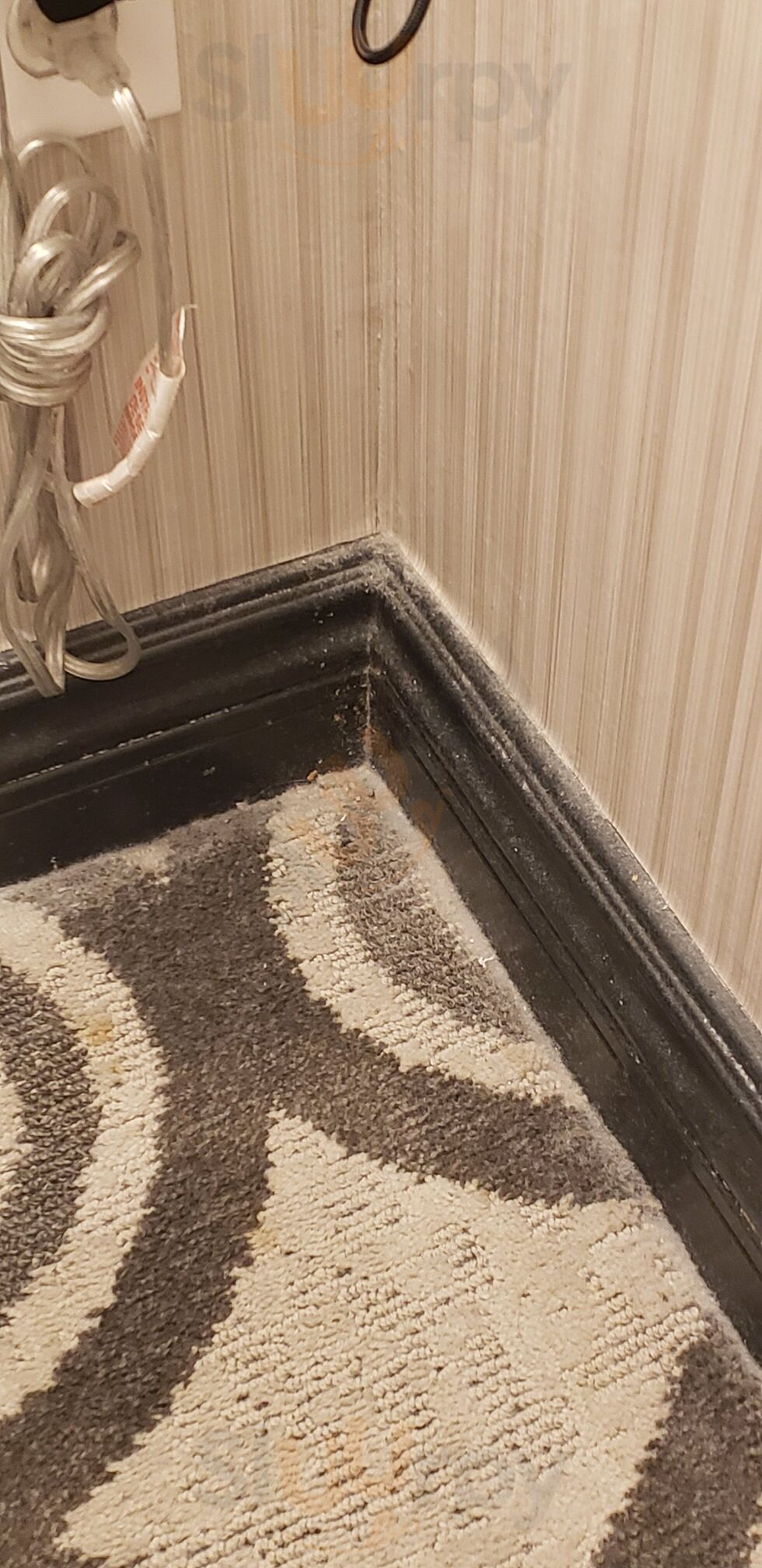 Brioche By Guy Savoy At Paris Las Vegas