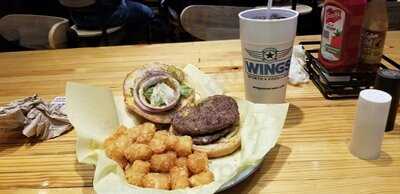 Wings Over Fort Worth