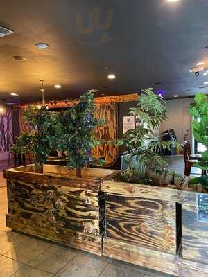 Roots Miami Kava & Eatery