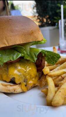 Cami | Modern Kitchen & Bar