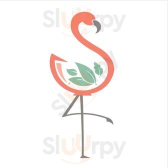 Mcflamingo