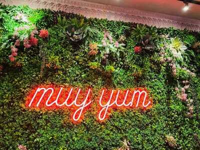 My Neighbor Felix Boulder