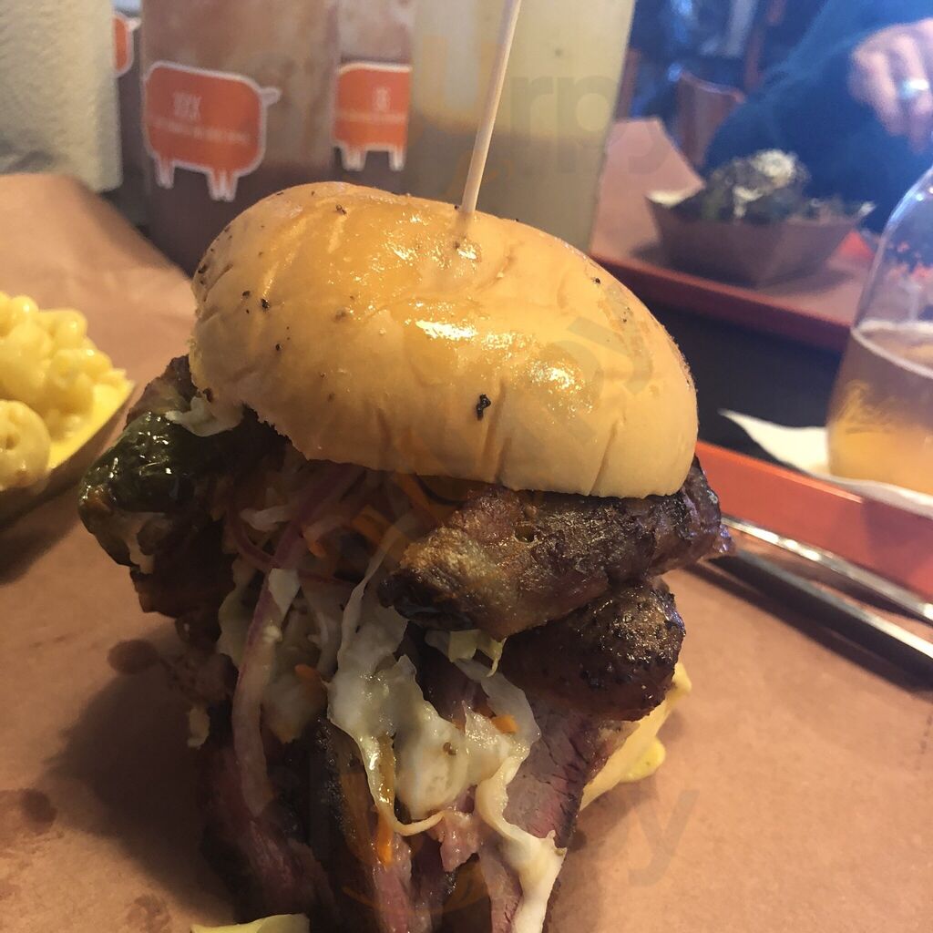 The Bearded Pig