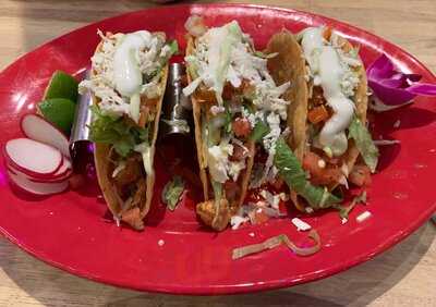 Fat Cactus Mexican Cantina