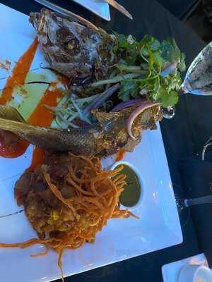 Selva University Town Center