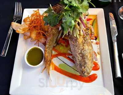 Selva University Town Center