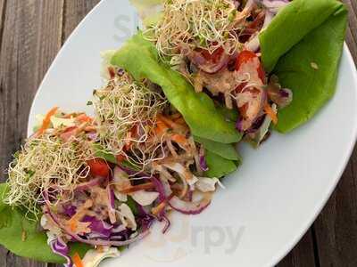 Plant Life Living Cuisine