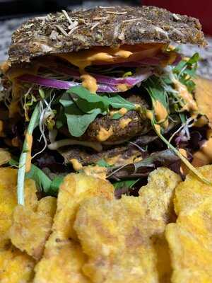 Plant Life Living Cuisine