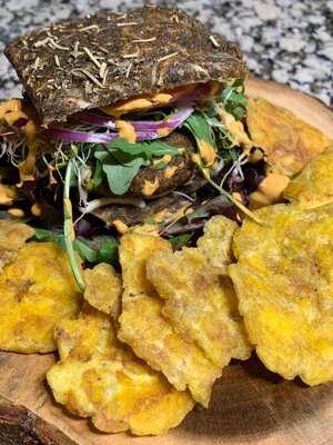 Plant Life Living Cuisine