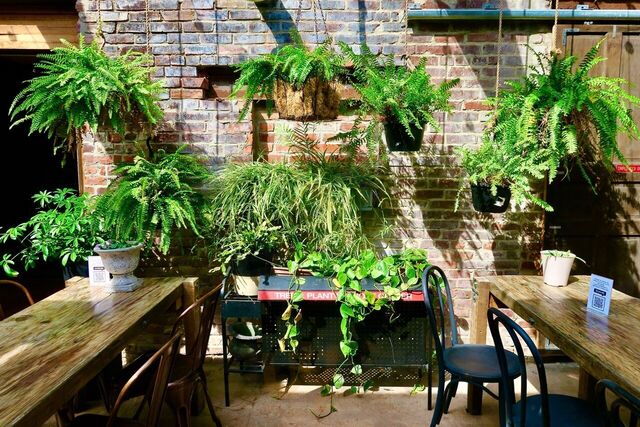 Donna's Italian Restaurant