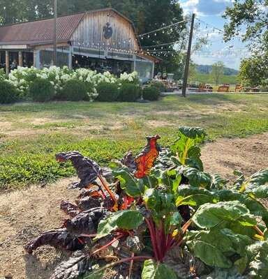 Taste, Wood-fired Kitchen