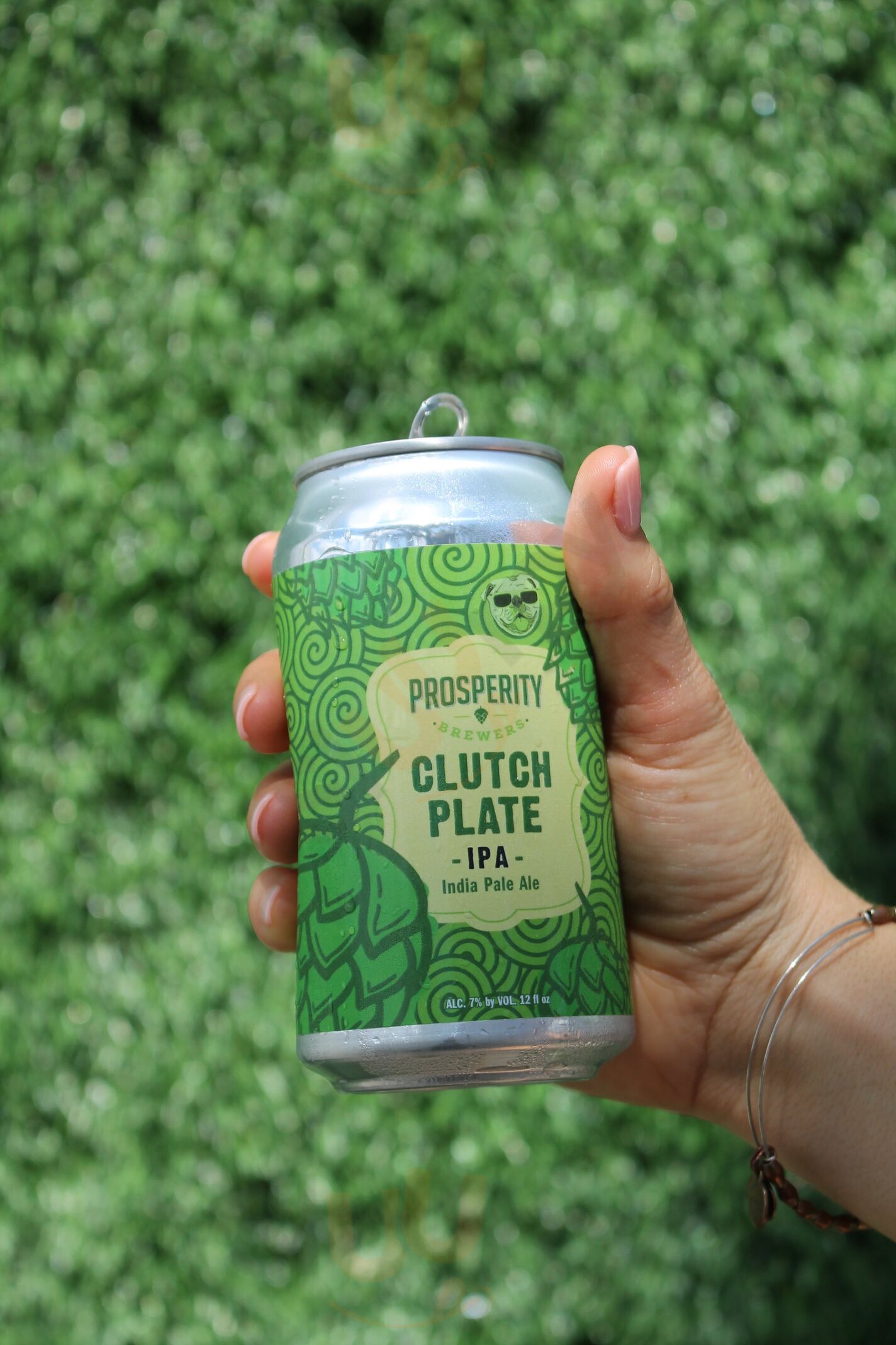 Prosperity Brewers