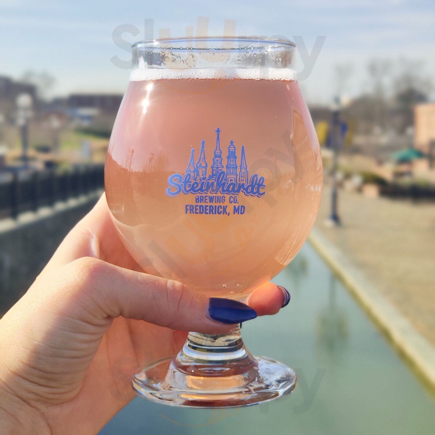 Steinhardt Brewing