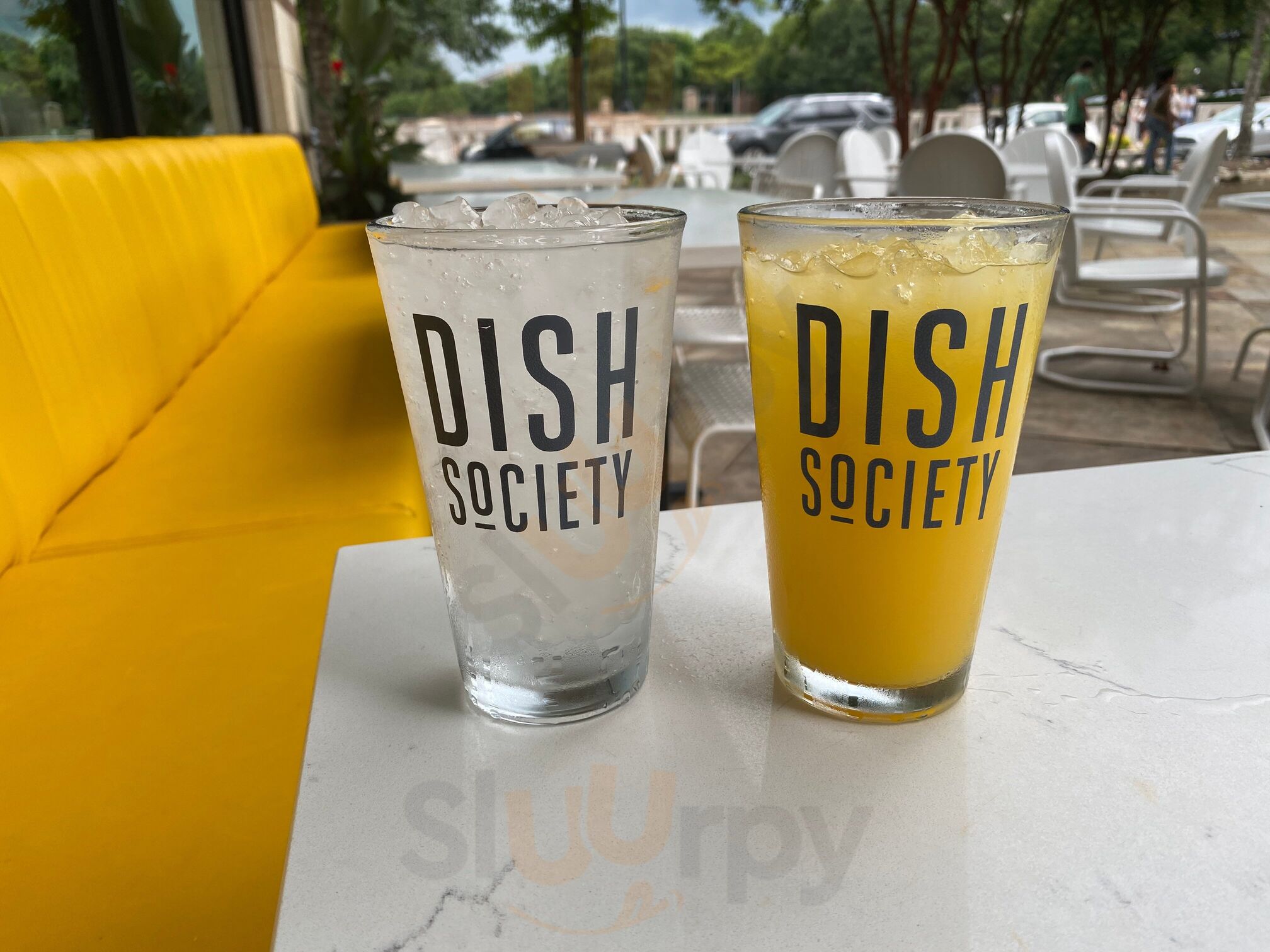 Dish Society