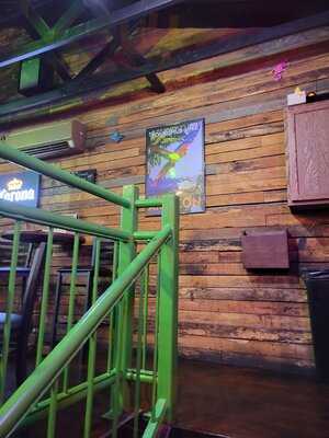 Crazy Craig's Treehouse