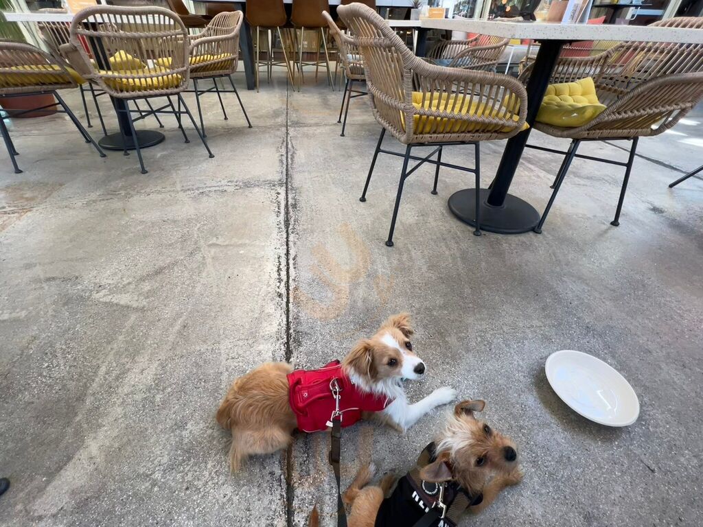 Boozehounds