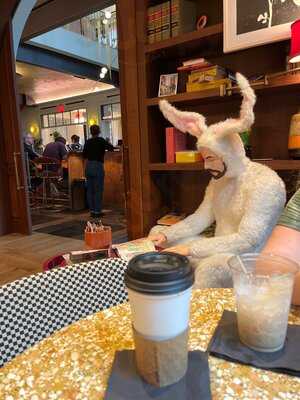 Funny Library Coffee Shop New Orleans